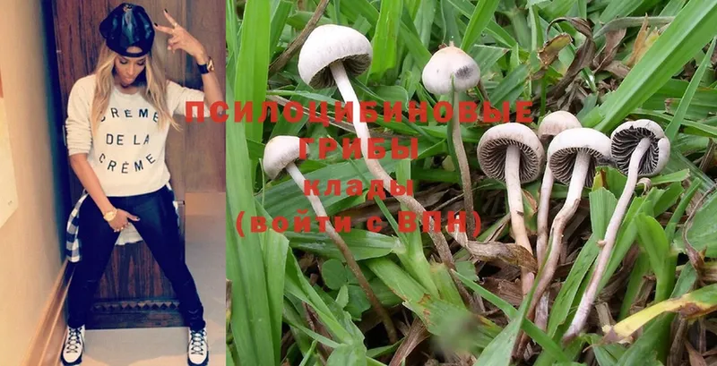 KRAKEN как зайти  Печора  Галлюциногенные грибы MAGIC MUSHROOMS 