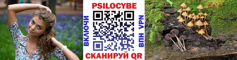 купить  сайты  Печора  Галлюциногенные грибы ЛСД 
