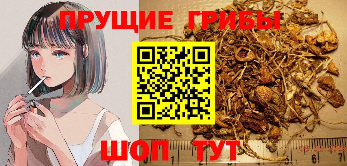 Псилоцибиновые грибы MAGIC MUSHROOMS  Галлюциногенные грибы Psilocybe  Печора  Вход с VPN 